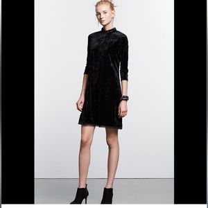 Women's Simply Vera Vera Wang Simply Noir Velvet Mockneck Dress - Size Small